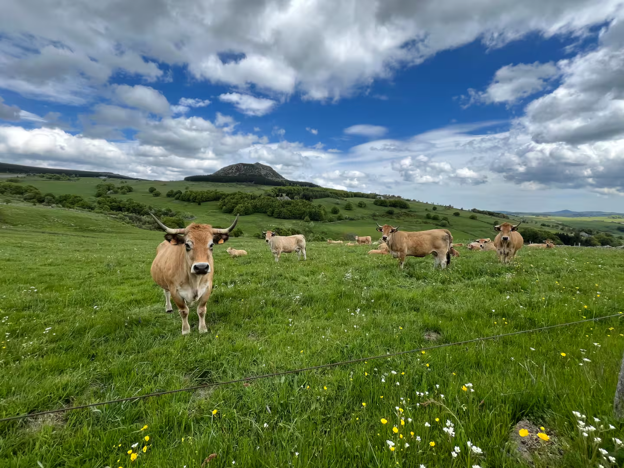 Activité en plein air